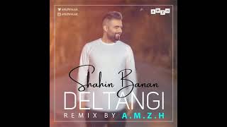 Shahin Banan - Deltangi (Remix) A.M.Z.H