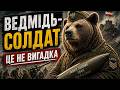 Бойовий ВЕДМІДЬ-СОЛДАТ! Історія, яка звучить як вигадка, але це правда! / ІСТОРІЯ ПИТАННЯ / ВОЙТ