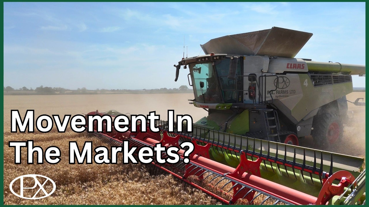 Harvesting on the Road in Lincolnshire, and the Team's Verdict on the CR11