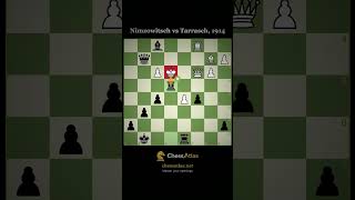 Nimzowitsch vs Tarrasch, St Petersburg 1914 #Chess #ChessHistory #ImmortalGame