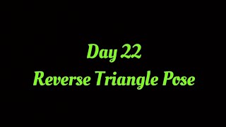 1 Asana a Day | Day 22 Reverse Triangle Pose