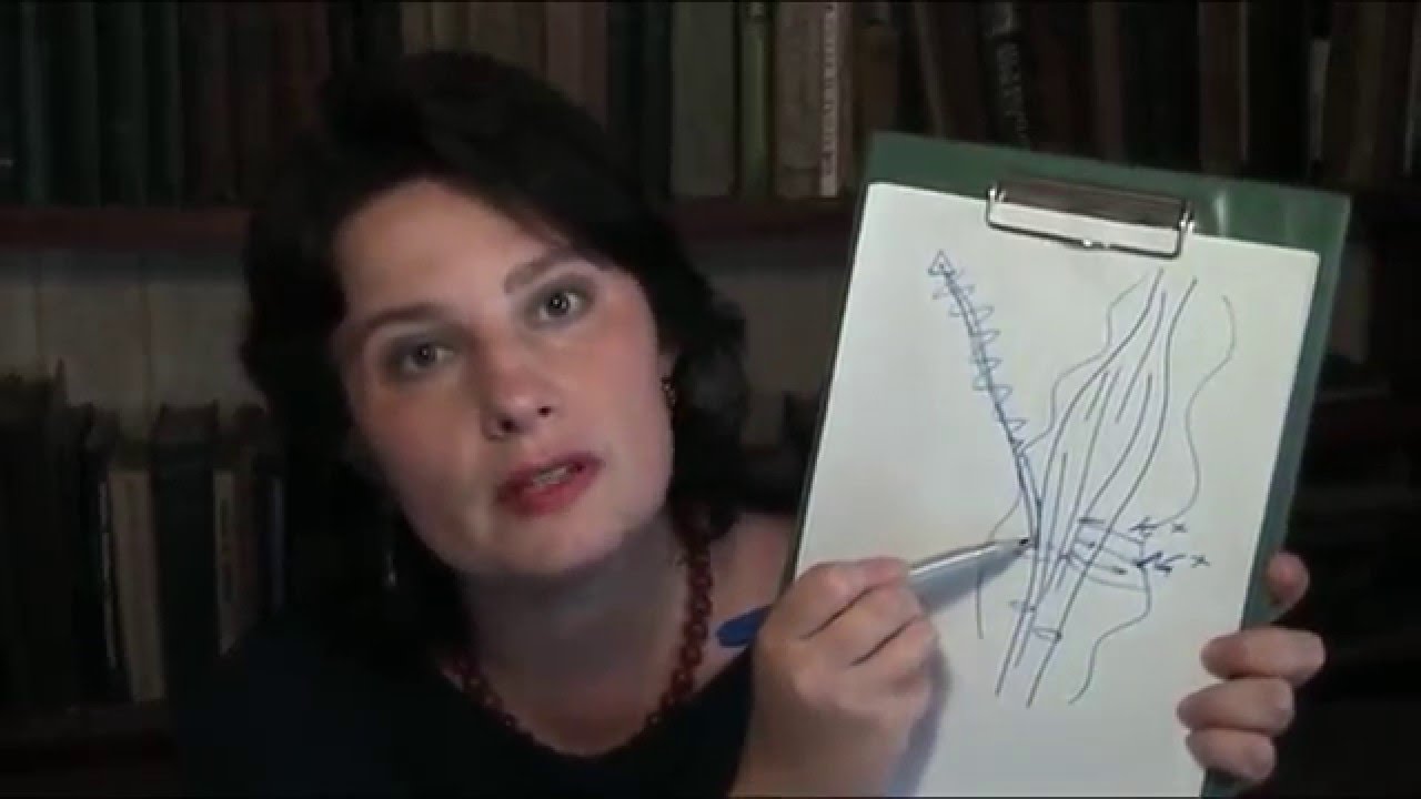 Осторожно, паксил!