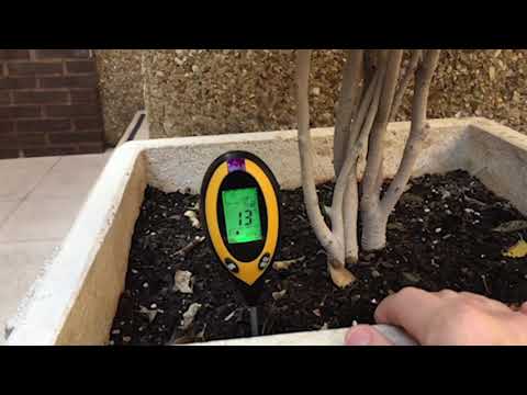 Video: Comprobación del contenido de humedad del suelo: cómo medir la humedad del suelo en el jardín