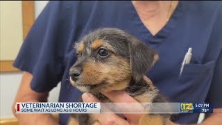 Acute shortage of veterinarians has pet owners sometimes waiting weeks to be seen
