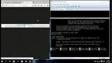 Konfigurasi Web Proxy Debian 6