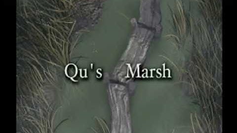 Final Fantasy IX Segmented - Segment 8