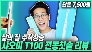 완전 쓸만한 전동칫솔 샤오미 T100 리뷰! 전동 칫솔의 최강자일듯