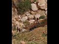 لحظة العثور على المفقود منذ يومين في الطفيلة عمون الأردن