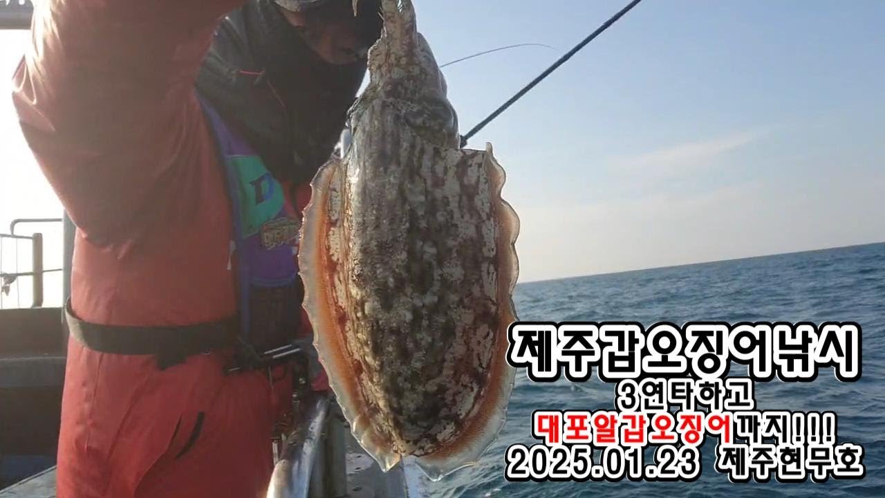 제주갑오징어낚시 3연타 그리고 대포알갑오징어 조아조아! (feat.제주현무호) #루피세피아로드 #제주갑오징어낚시 #갑오징어