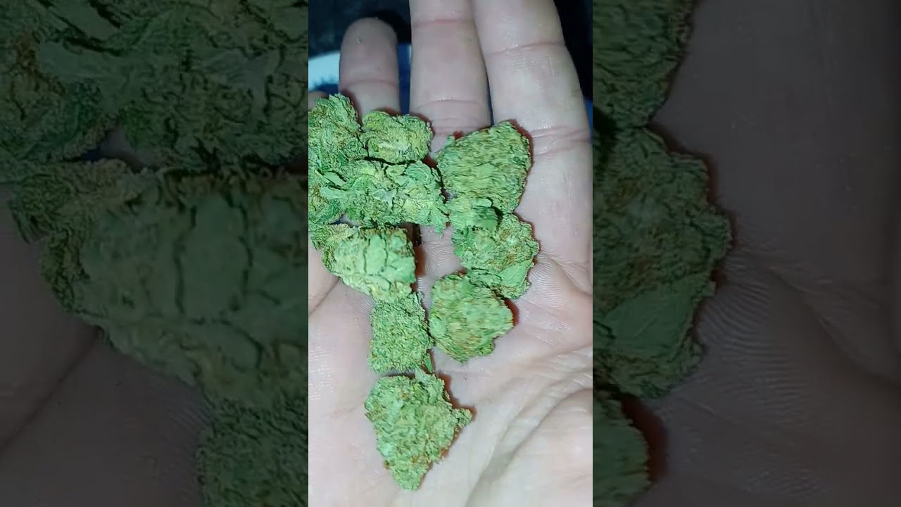 Zkittles, Jaxon Wellness (is it good?) 