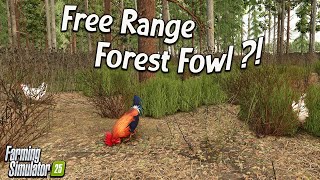 Download Lagu CLUCK CLUCK, WHO’S THERE? JABBA? Farming Simulator 25 | SUNSHINE FOREST #26 MP3 Download Lagu CLUCK CLUCK, WHO’S THERE? JABBA? Farming Simulator 25 | SUNSHINE FOREST #26 MP3