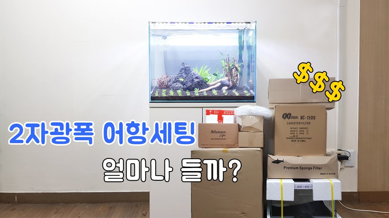 2자광폭어항 세팅 가격은? 어항 꾸미기 준비물 부터 비용 까지 - 2자 광폭 어항 세팅 비용을 알려드려요