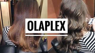 Окрашивание и восстановления волос с OLAPLEX | мой опыт