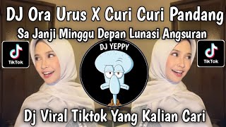 DJ TINGGAL KO PILIH MANA X KAKA PU MANIS BIKIN SA SUKA || ORA URUS X CURI CURI PANDANG VIRAL TIKTOK