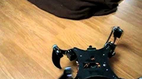 C.A.T. Quadruped Narrow Angle Collision Avoidance