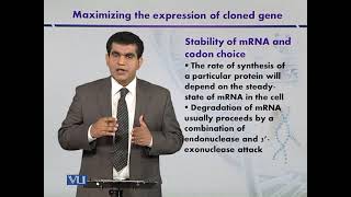 Stability of mRNA and Codon Choice | Introduction to Biotechnology | BIO5101_Topic107