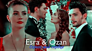 картинка: Esra & Ozan - Спроси моё сердце
