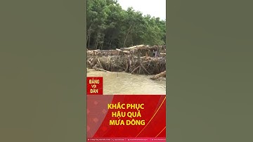 Khẩn trương ứng phó mưa lớn kèm dông lốc, sét, mưa đá và gió giật mạnh #shorts