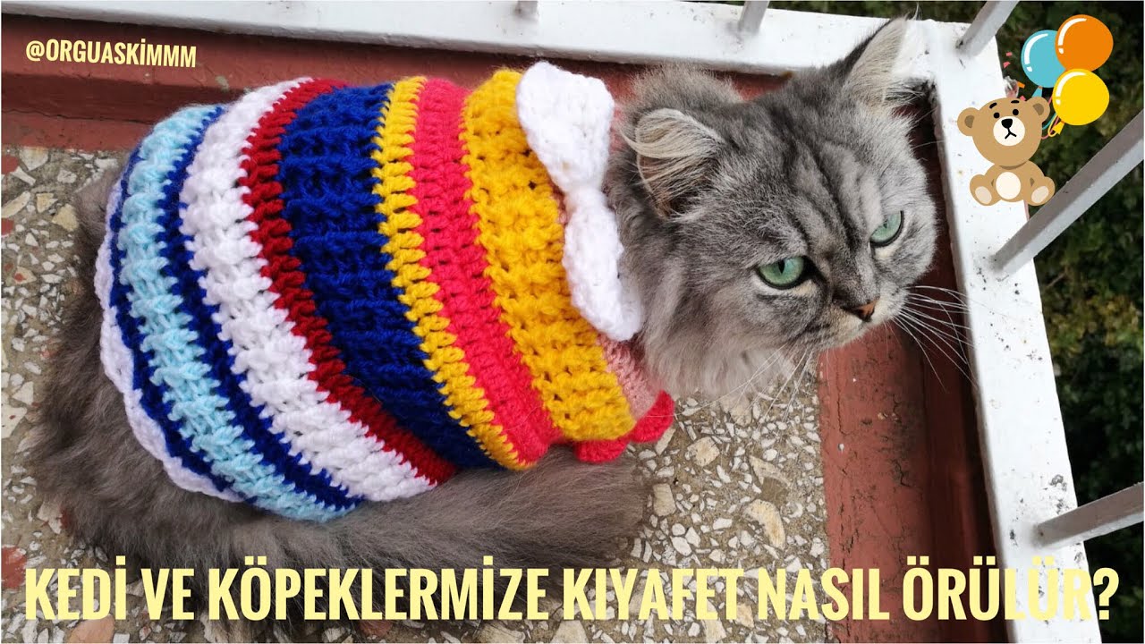 Kedi Ve Kopeklerimize Kiyafet Nasil Orulur Youtube