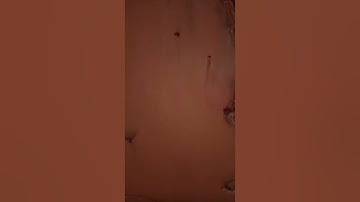 { وَاذْكُرْ فِي الْكِتَابِ إِبْرَاهِيمَ إِنَّهُ كَانَ صِدِّيقًا نَبِيًّا ْ} سورة مريم