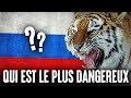 5 animaux les plus dangereux en russie