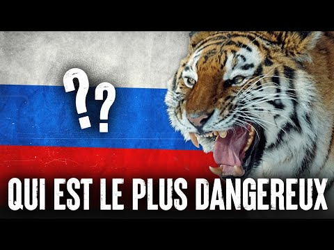 Vidéo: Quels Animaux Venimeux Vivent En Russie