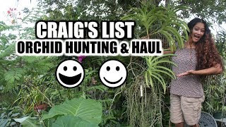 CRAIGS LIST - ORCHID HUNTING ADVENTURE & HAUL
