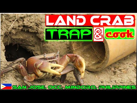 EP104 - Kuray Crab Catch 'n Cook | Ginataan with Kalabasa at Sitaw | Occ. Mindoro