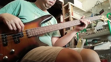 Blink 182 - Stay Together For The Kids (bass cover)
