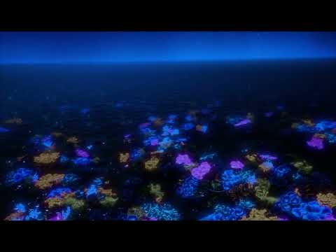 Blenderによる波紋シミュレーション／BLU-SWING『BLUE MOON』MV