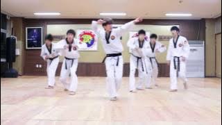 K-Tigers_BTS [Boy in luv] Taekwondo Cover