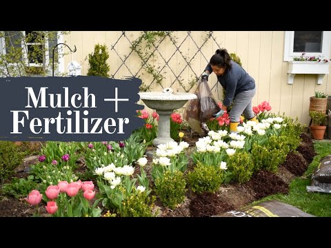 How I Fertilize, Edge & Mulch my GARDEN FLOWER BEDS in the Spring