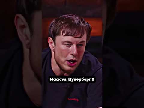 Видео: Twitter или Threads? Маск vs Цук