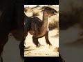 Hagryphus: Feathered Ambush of the Cretaceous Desert