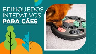 Melhores Brinquedos Interativos Para Cachorros