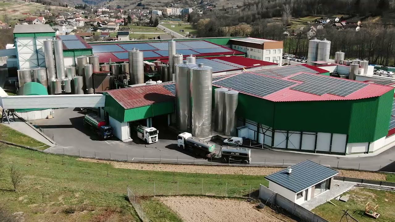 Production of semi-hard cheese in Koliba dairy