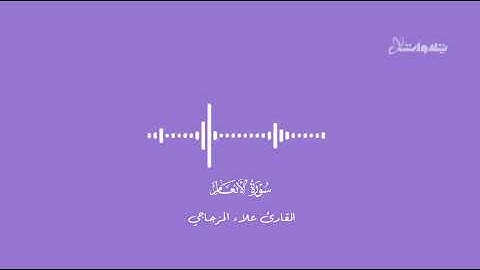 ما تيّسر من سورة الأنعام للقارئ علاء المزجاجي.