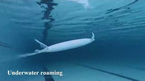 Squid-like Aquatic-aerial Vehicle With Soft Morphing Fins and Arms