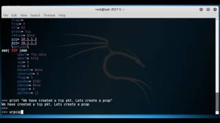 Create single tcp packet using scapy