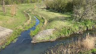 Yeading Brook from Minet Country Park to the Great Western main line, West London , April 2021