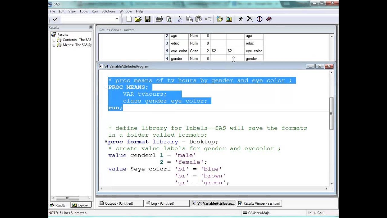 variable assignment in sas