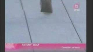 Anthony Wolf - Cavalier Urbain