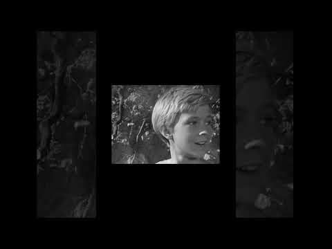 Andrei Tarkovsky and