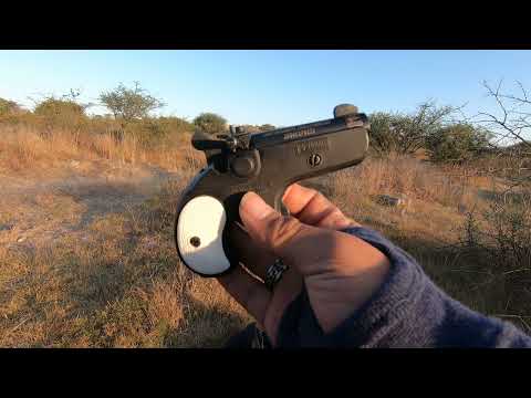 Vídeo: Pistola Derringer: dispositiu i especificacions