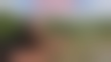 APS Stechkin : full automatic shooting (with slow motion)