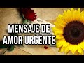 Mensaje de Amor URGENTE 💌🙏 (Sin opciones)