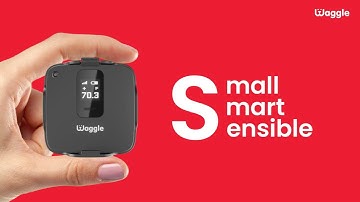 Waggle Pet Monitor | The Best Pet Safety Monitor for RV/Car!