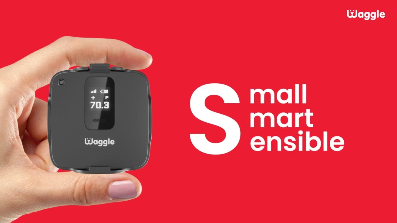 Waggle Pet Monitor | The Best Pet Safety Monitor for RV/Car!