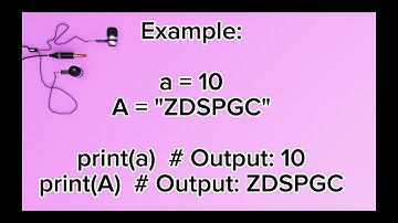 9. Identifying Variables (Case - Sensitive )