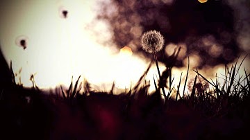 nExow - Autumn Feelings